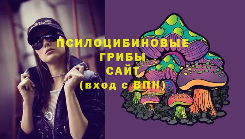 Псилоцибиновые грибы MAGIC MUSHROOMS  Волхов 